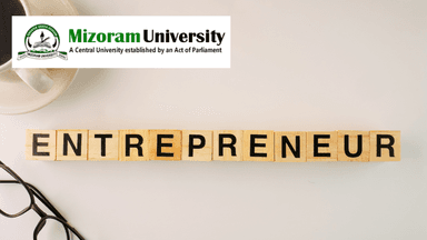 Online MBA in Entrepreneurship - Mizoram University