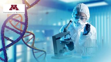 Introduction to Human Behavioral Genetics