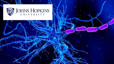 Practical Neuromarketing Research