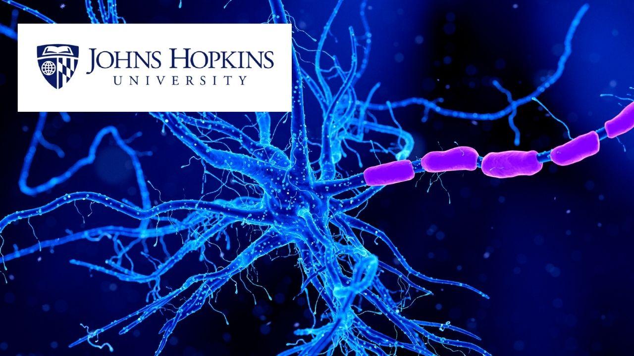 Practical Neuromarketing Research