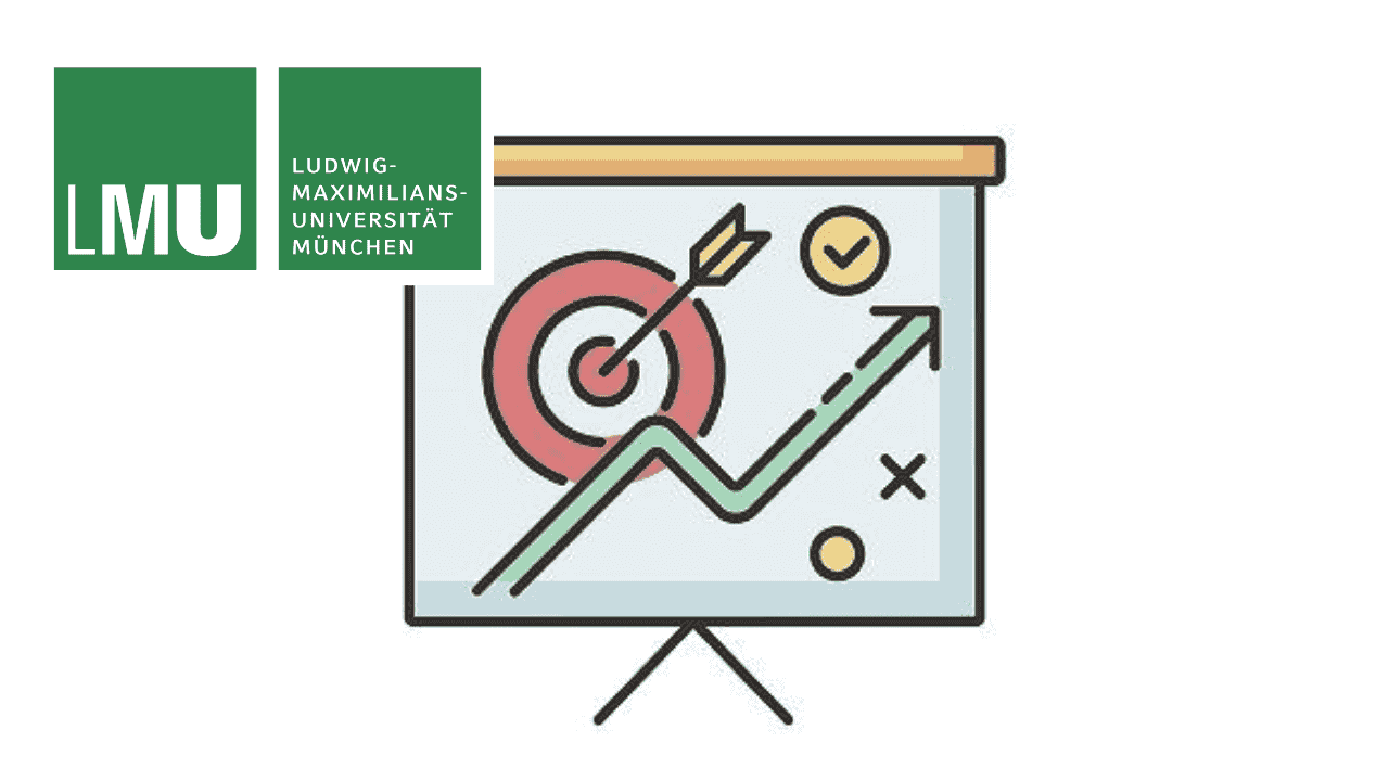 Competitive Strategy and Organization Design Project