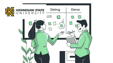 Organization Planning and Development for the 6 σ Black Belt