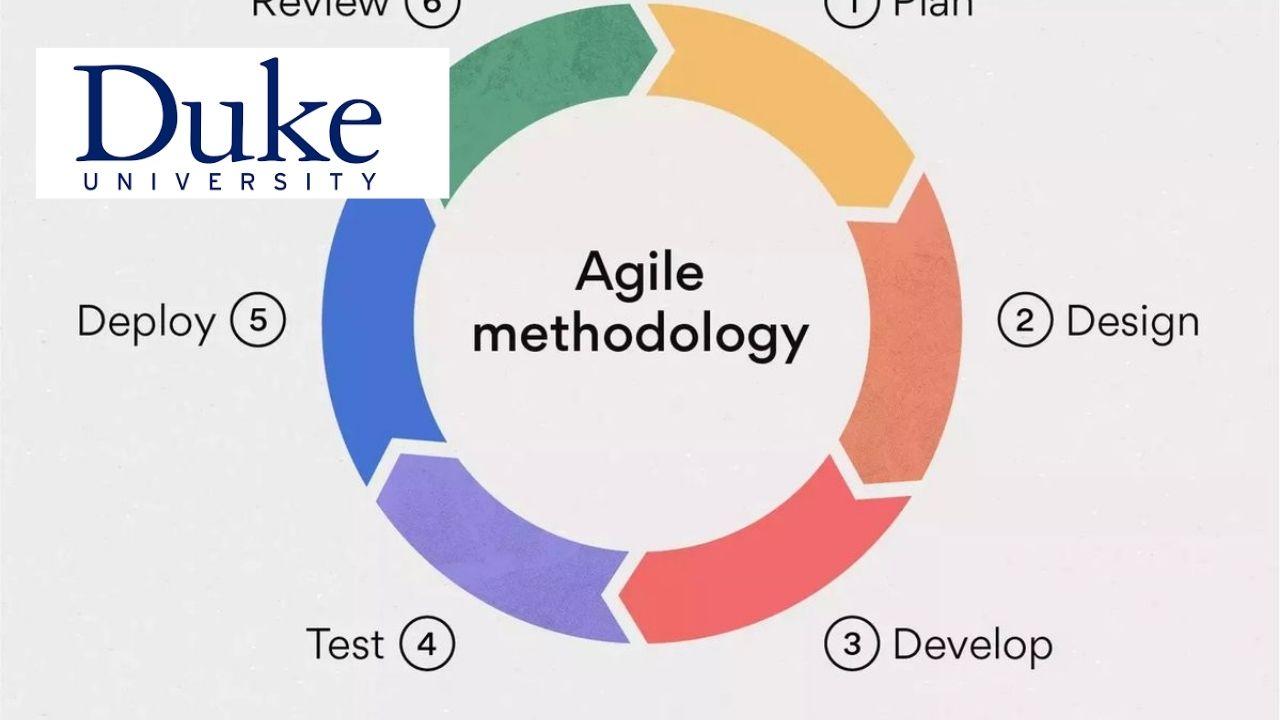Strategy and Innovation for Agile Organizations
