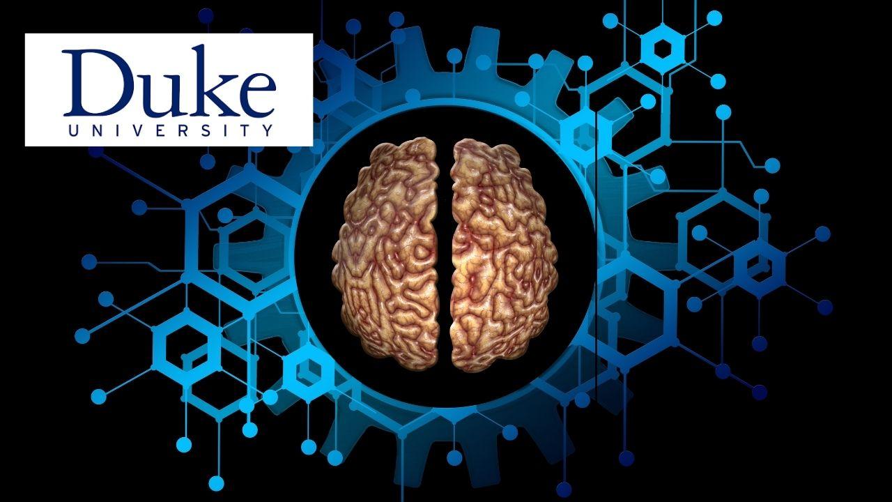 Digital Transformation for Agile Organizations