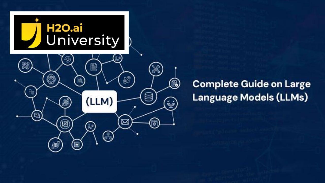 H2O ai Large Language Models (LLMs) - Level 1