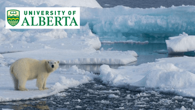 Arctic Economy: Explore Circumpolar Economies