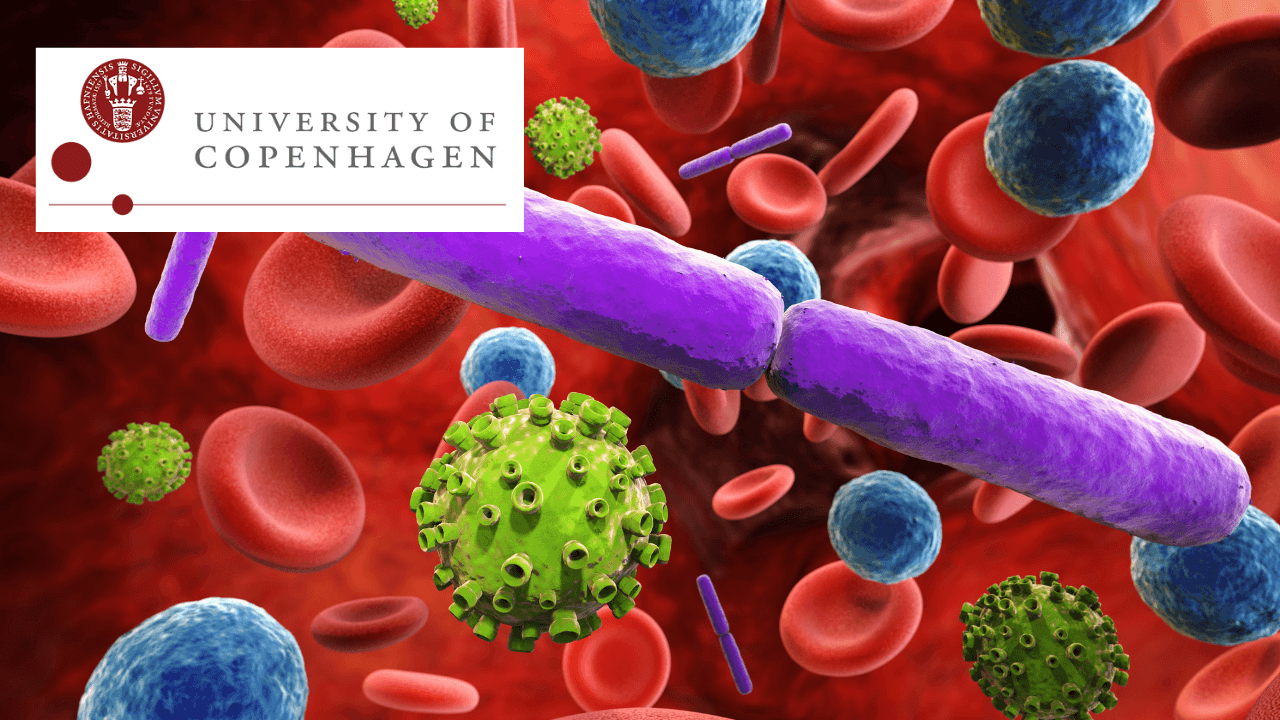 Bacteria and Chronic Infections: Understanding Biofilms