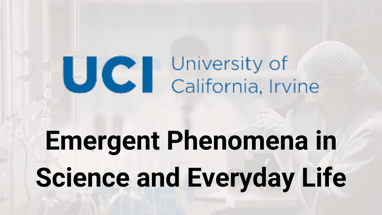 Emergent Phenomena in Science and Everyday Life