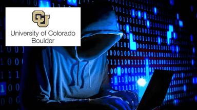 Hacking and Patching