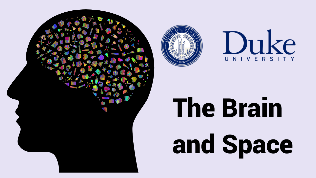 Explore Spatial Cognition: How the Brain Perceives Space