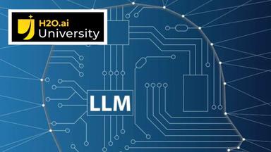 H2O ai Large Language Models (LLMs) - Level 2