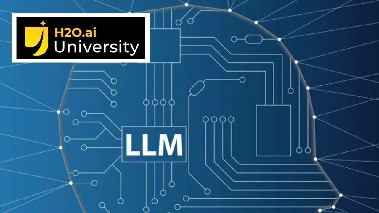 H2O ai Large Language Models (LLMs) - Level 2