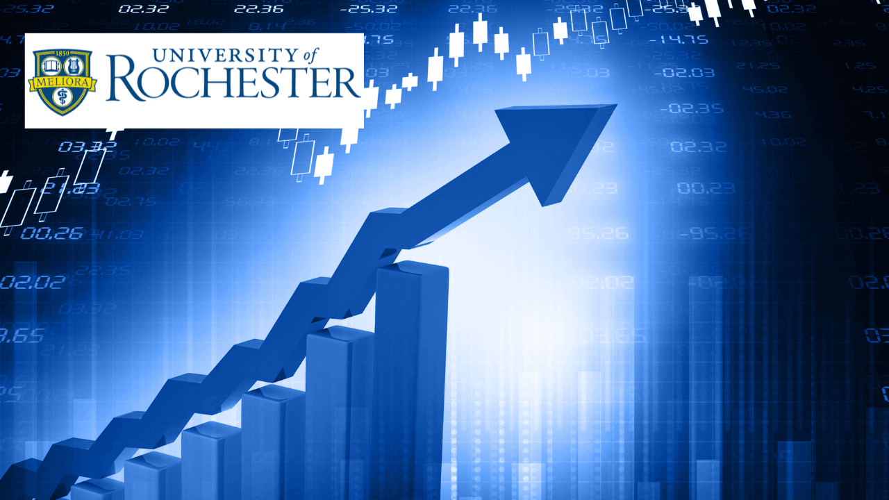 Market Dynamics: Input Analysis & Efficiency