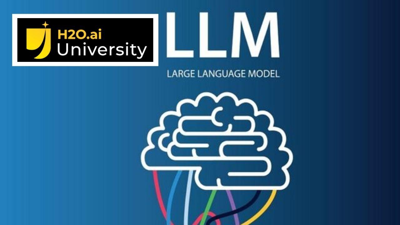 H2O ai Large Language Models (LLMs) - Level 3