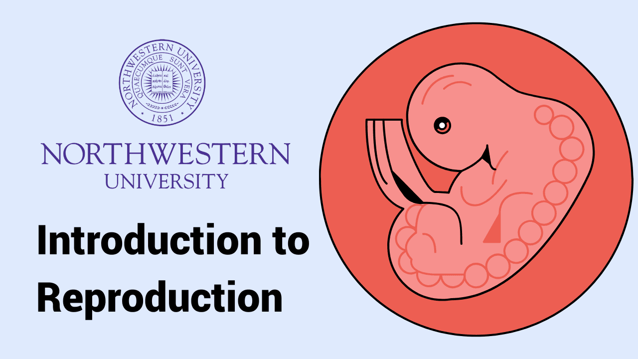 Introduction to Reproduction