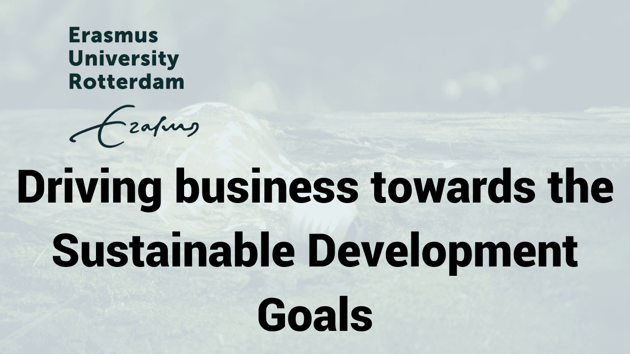 Driving business towards the Sustainable Development Goals