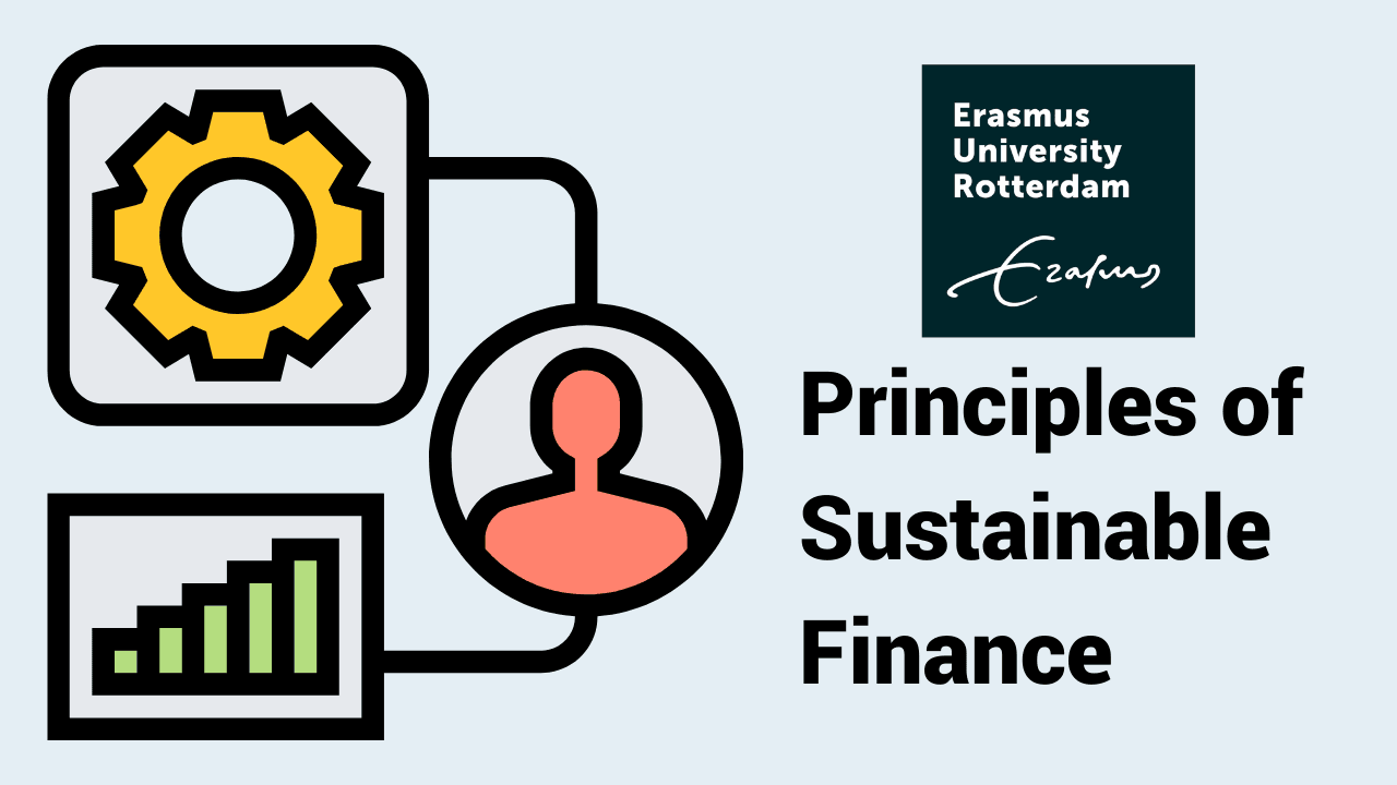 Principles of Sustainable Finance