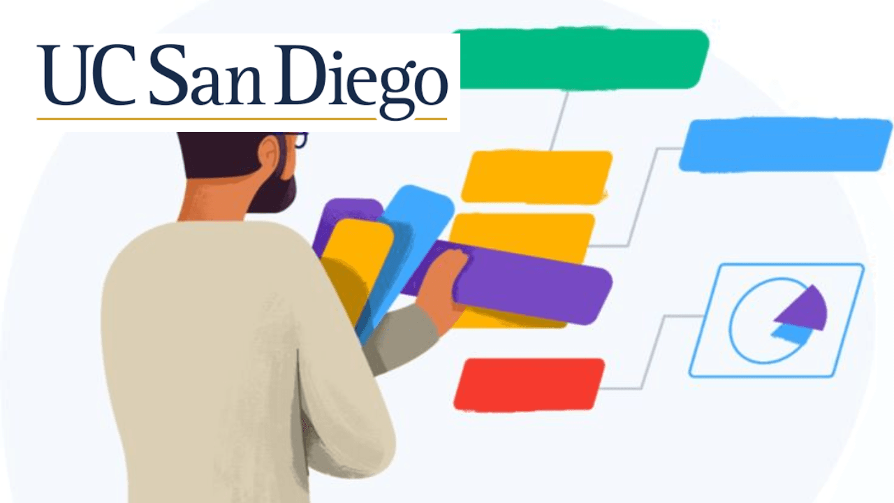 User Experience: Research & Prototyping