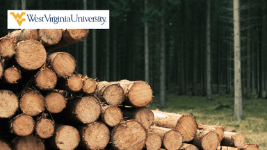 Wood Science: Beyond Building