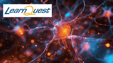 Neural Networks and Random Forests