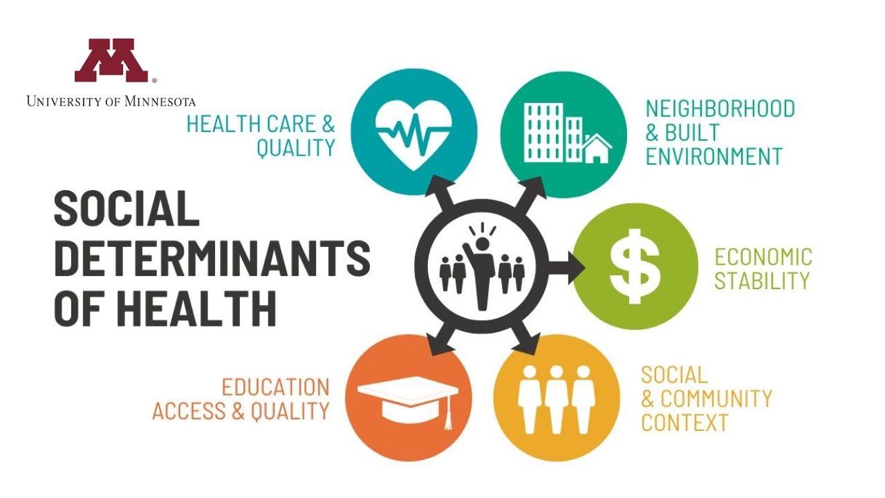 Social Determinants of Health: Planetary Health