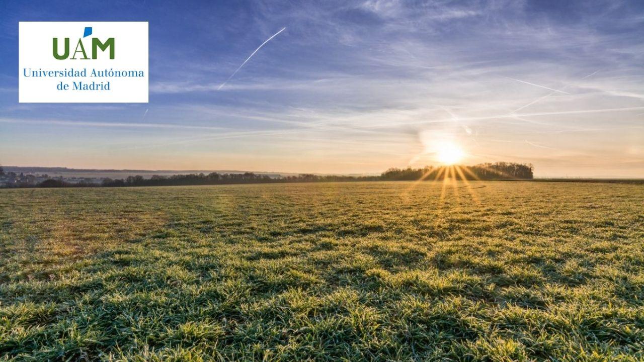 The Perception of Landscape