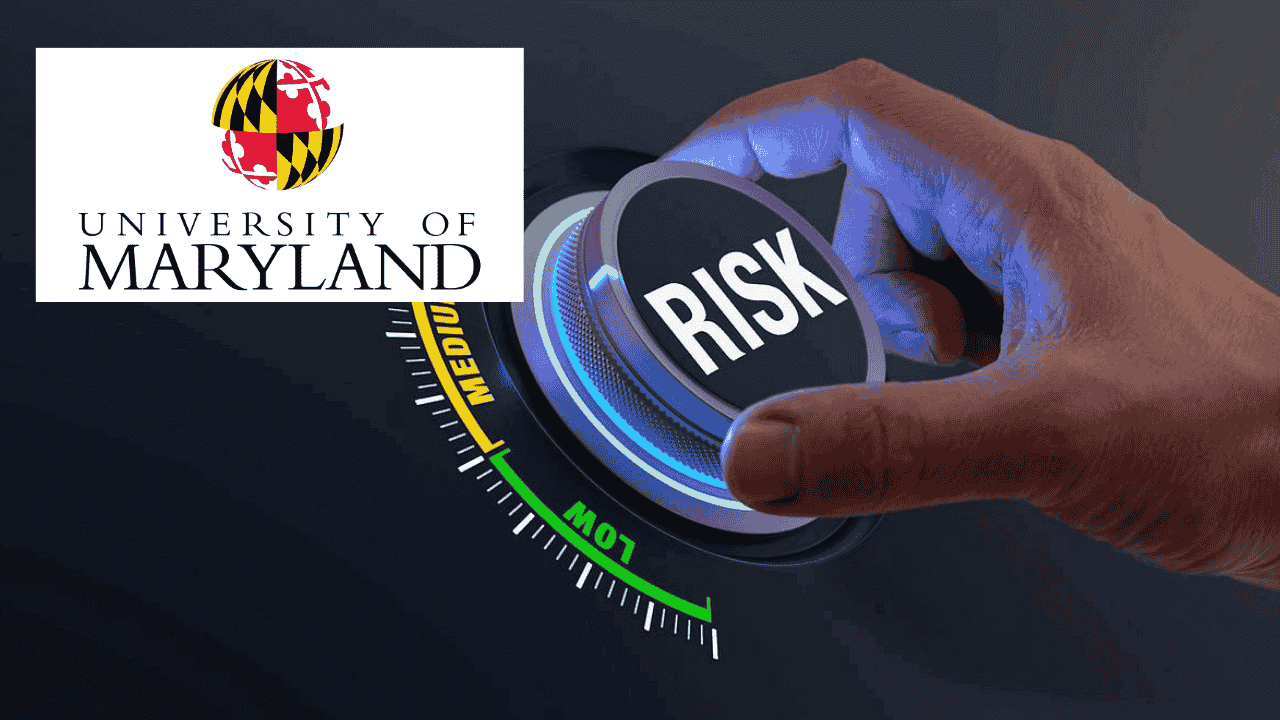 Project Risk: Effective Decision Strategies