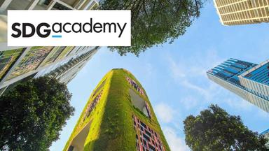 Master's Pathway in Foundations of Sustainable Development