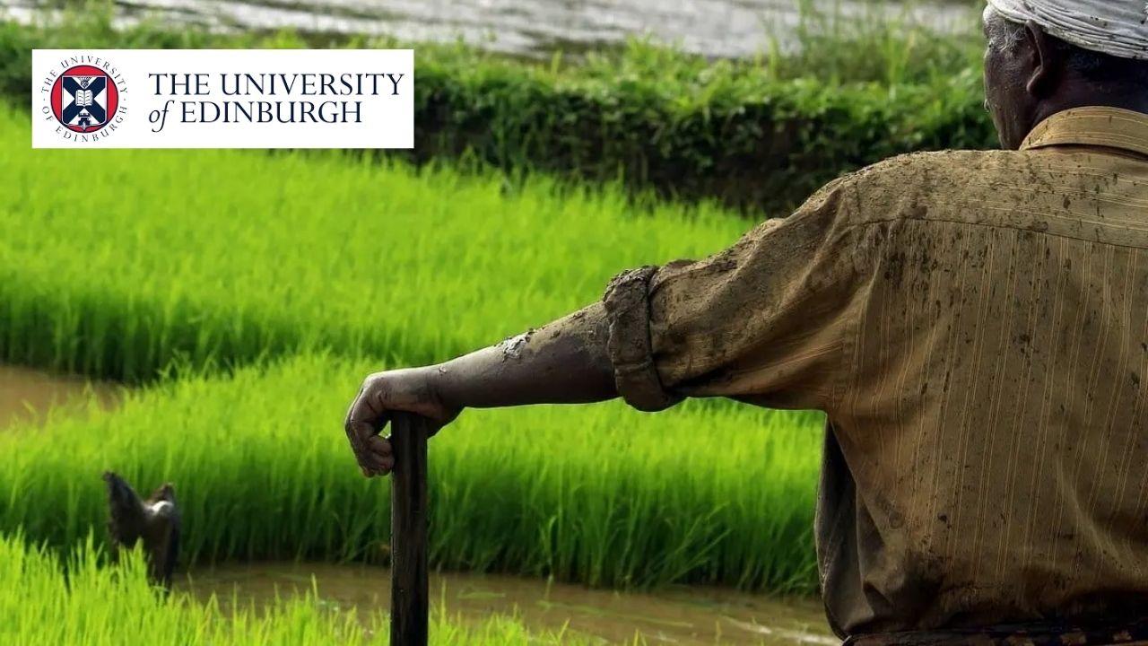 The Nitrogen Challenge from a Social Science Perspective