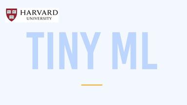 Deploying TinyML on Microcontrollers