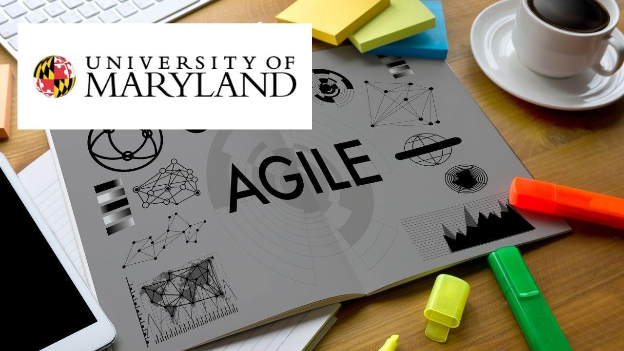 Agile Process, Project, and Program Controls
