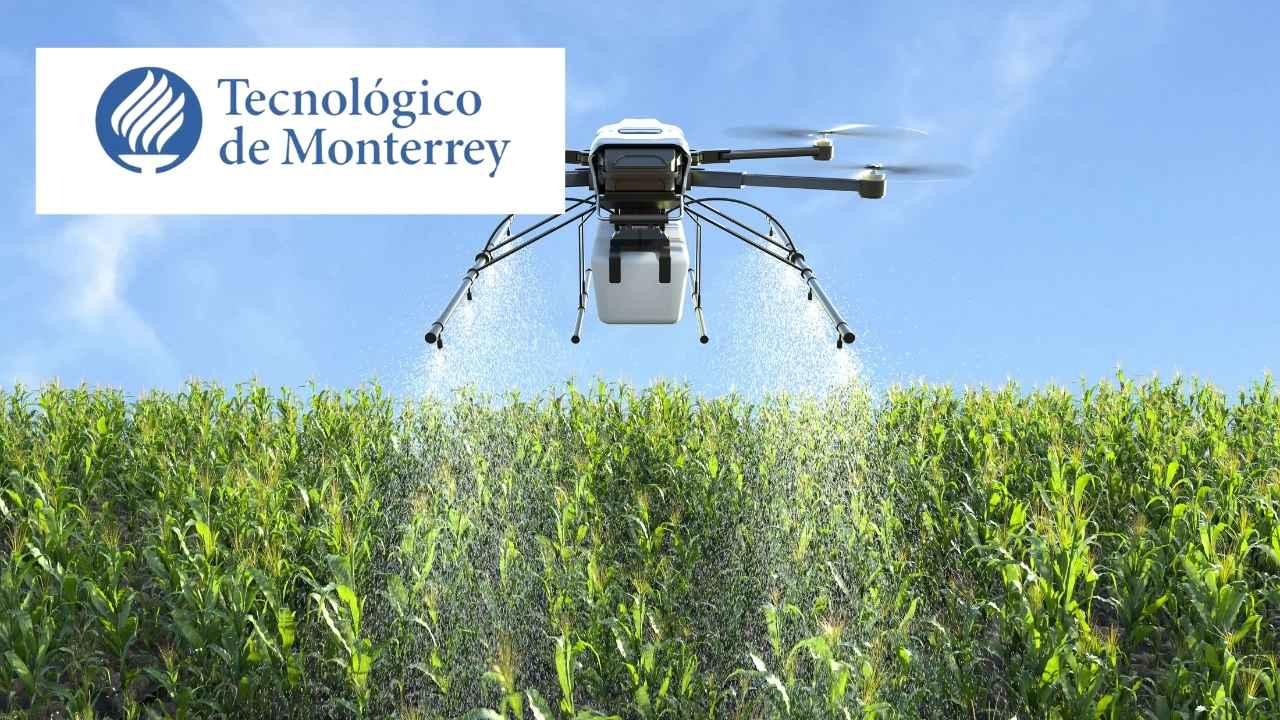 Global Environment and Technological Innovation Trends