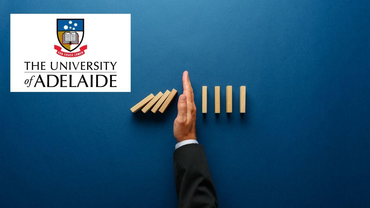 Risk Management for Projects