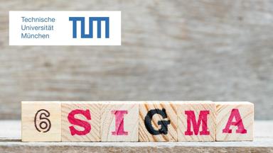 Lean Six Sigma Green Belt: Sustainable Projects