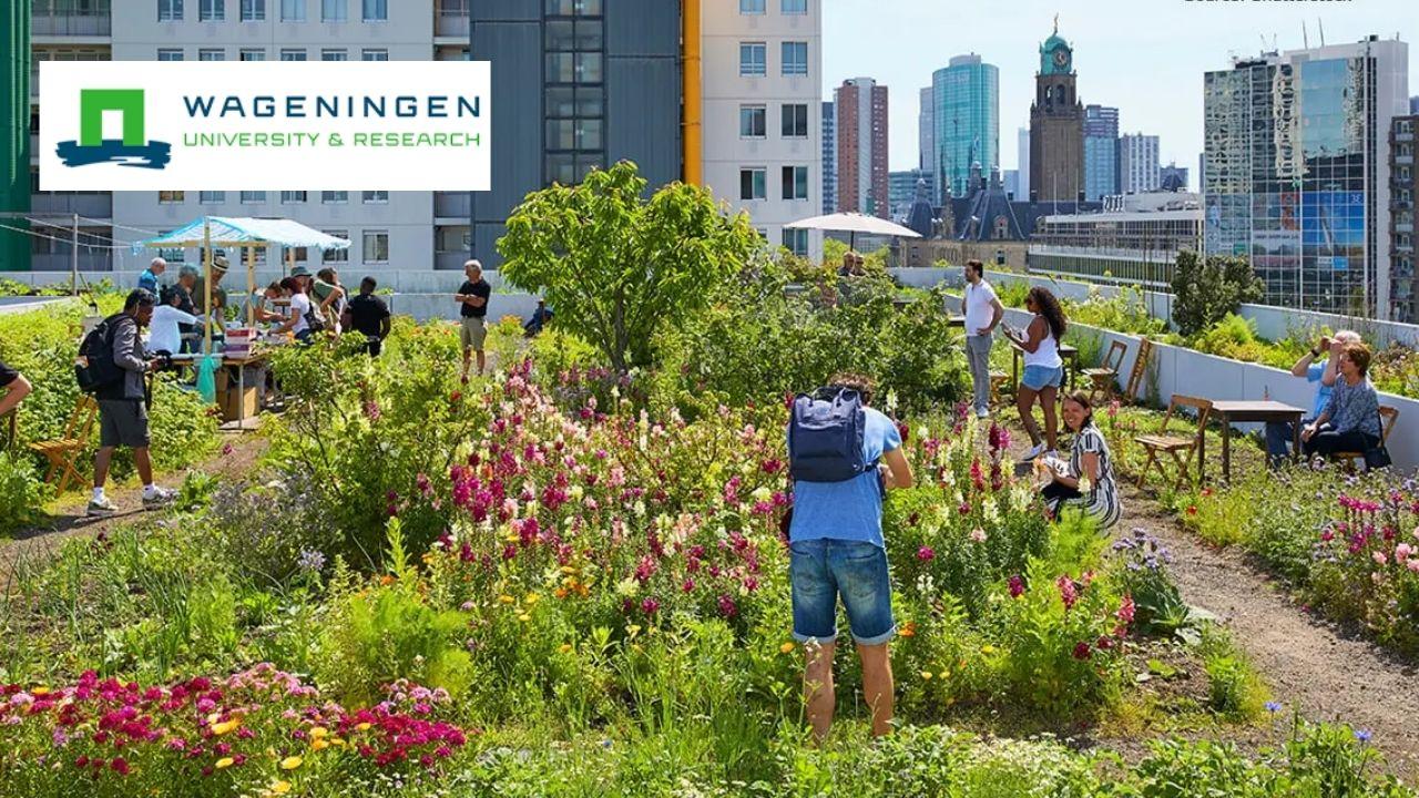 Urban Gamechanger for Sustainability