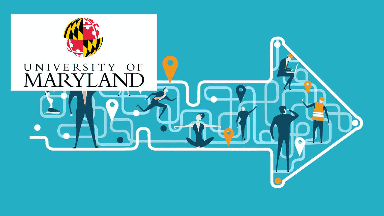 Program Management: Enabling Value Driven Change