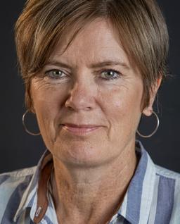 Anna Birna Almarsdottir