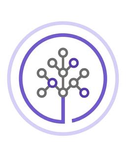 Skills Network