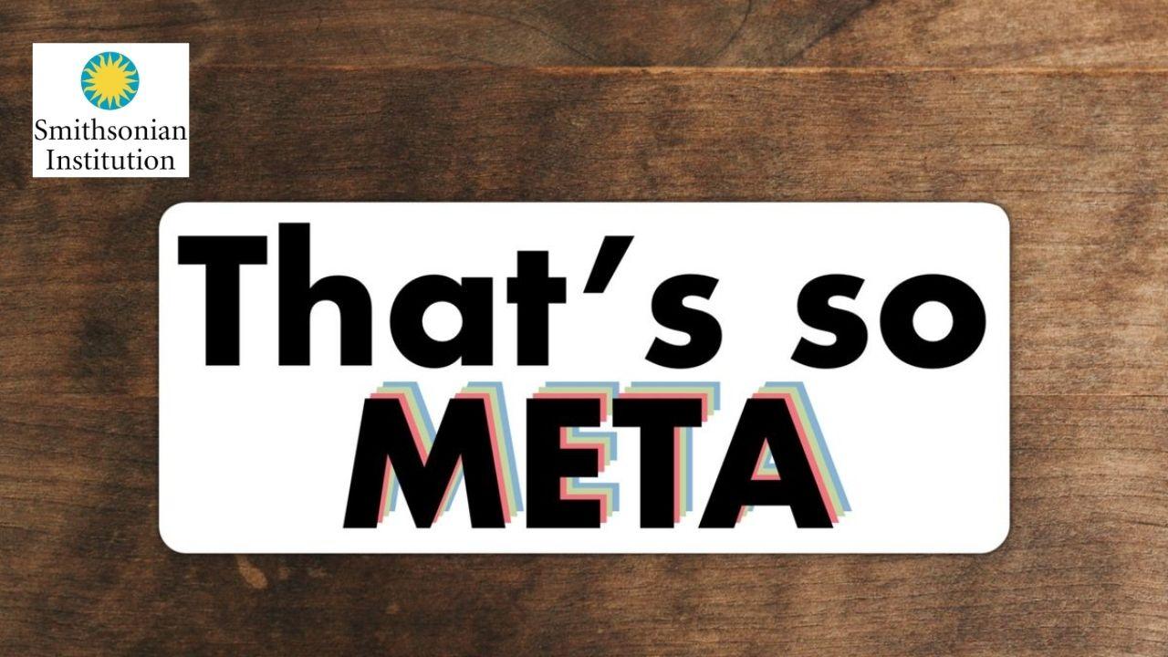 That's So Meta(cognitive)