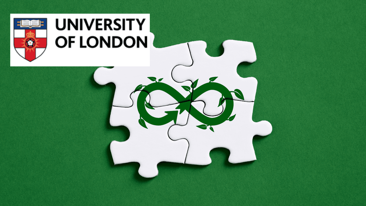 Business Sustainability in the Circular Economy