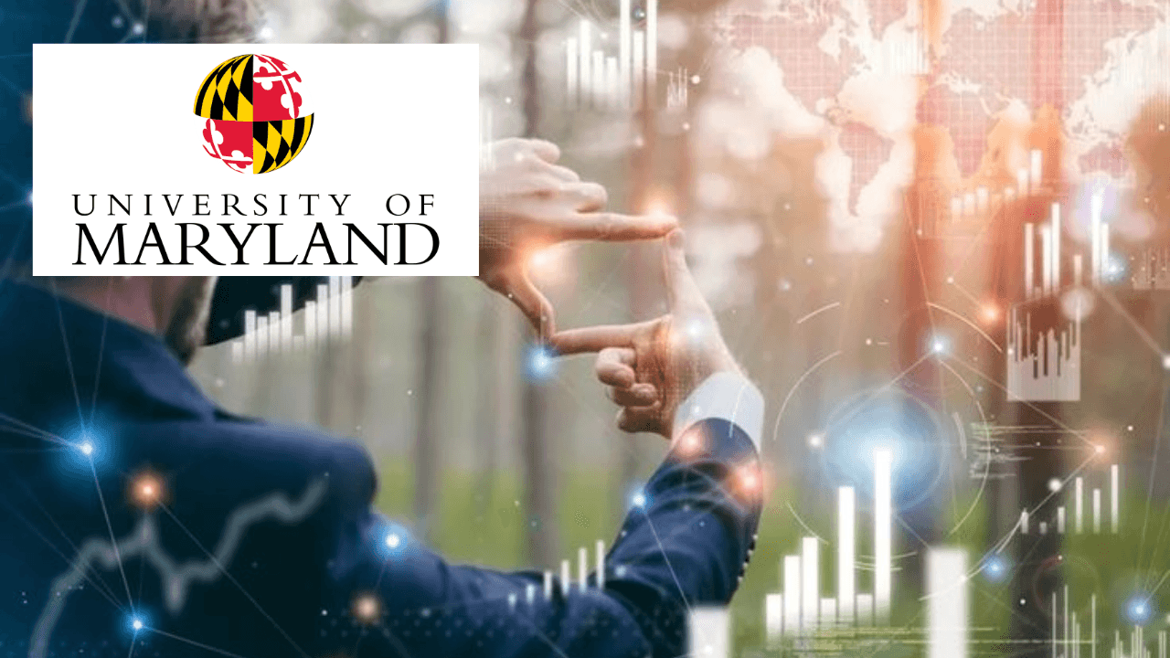 Digital Transformation with Data Analytics Projects