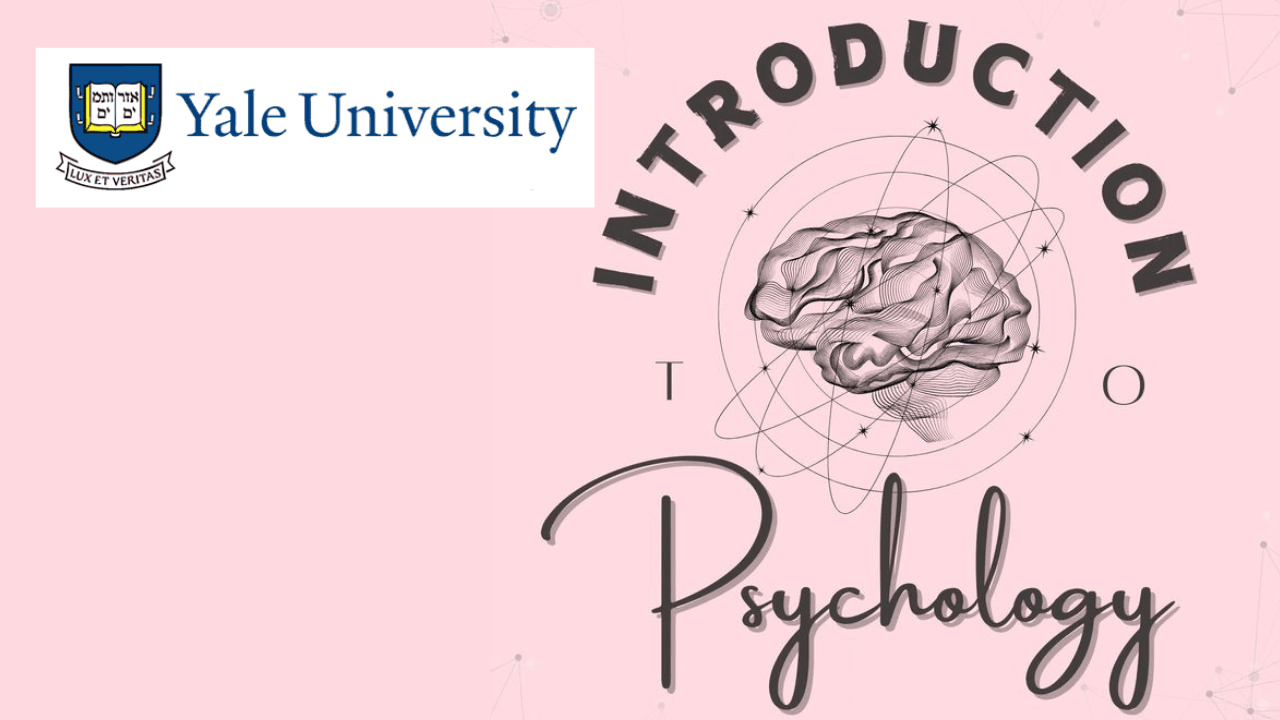 Introduction to Psychology: Explore the Human Mind