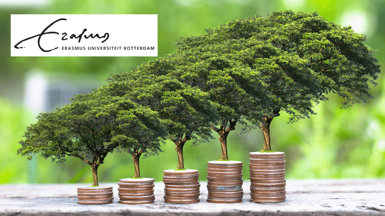 Local Economic Development