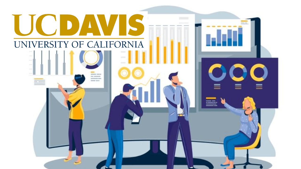 Research Report: Delivering Insights