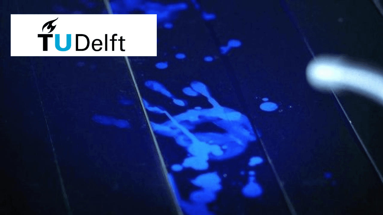 Forensic Engineering: Learning from Failures